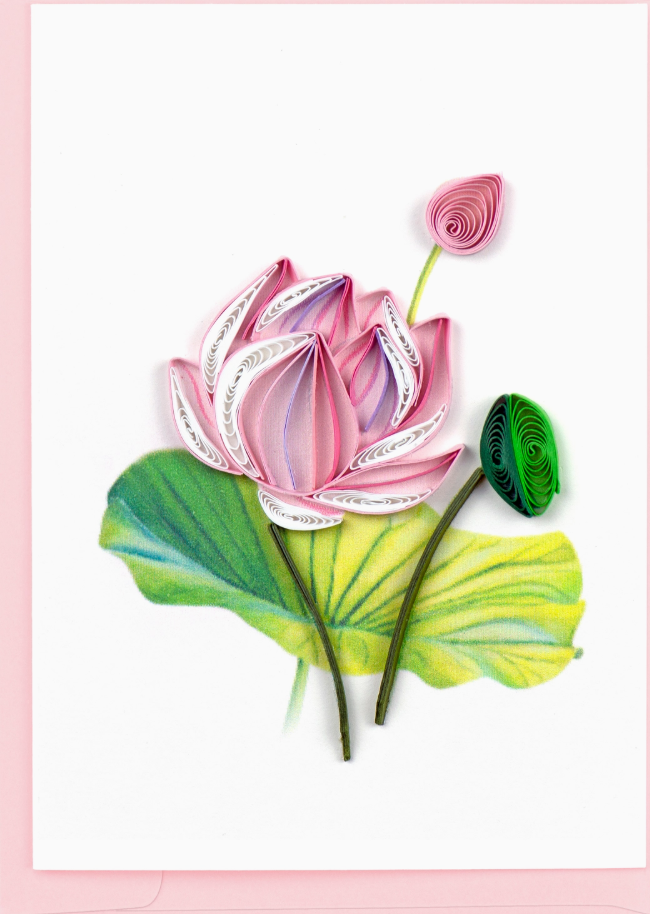 Pink Lotus