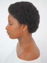 Load image into Gallery viewer, Bird Stud Earrings