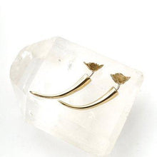 Load image into Gallery viewer, Wild Rose & Thorn Earrings Set