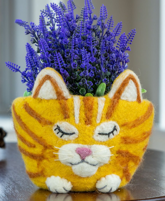 Felt Pot Tabby