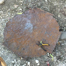 Load image into Gallery viewer, Happy Kitty Haitian Steel Drum Wall Art, 13 inch