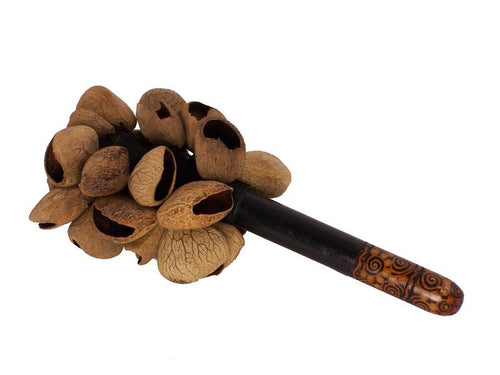Kluwak Nut Maraca - Indonesia