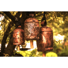 Load image into Gallery viewer, Solo Bell Jumbo
