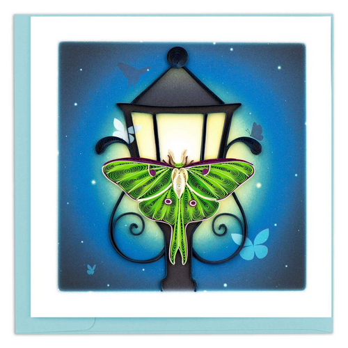 Luna Moth