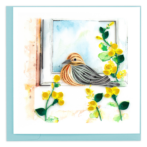Mourning Dove