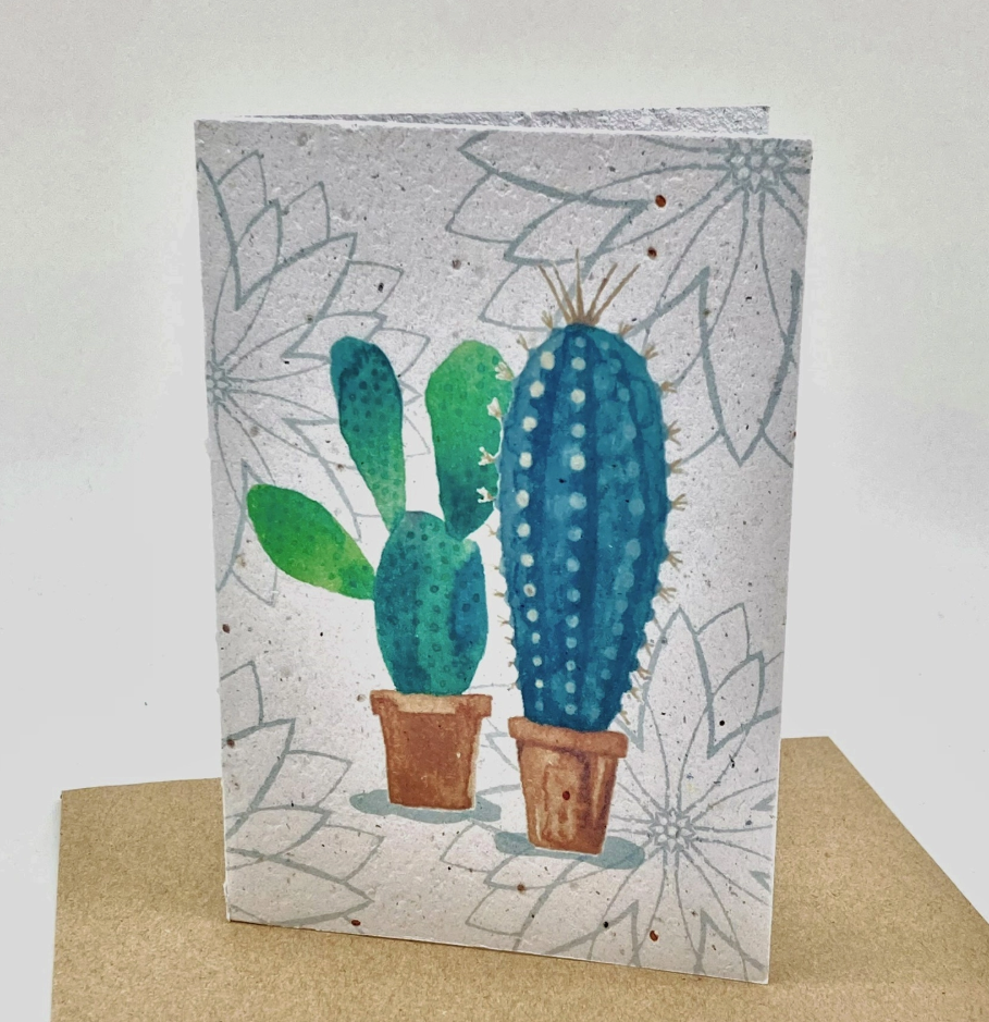 Growing Paper Card Cactus