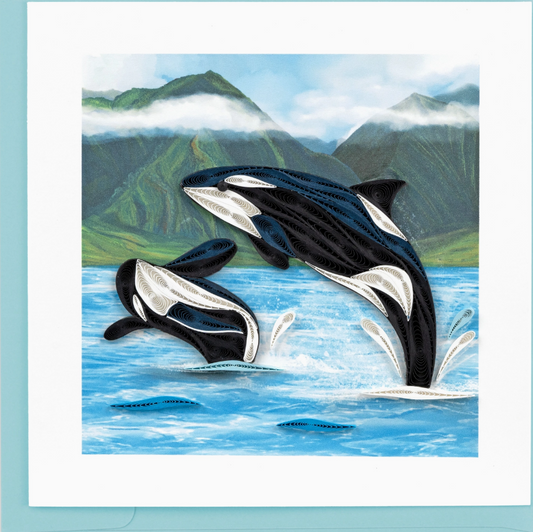Orca Whales