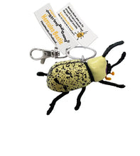 Load image into Gallery viewer, Hercules Beetle
