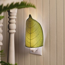 Load image into Gallery viewer, Cocoa Leaf Nightlight Green
