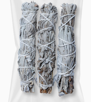 White Sage Mini